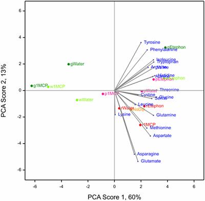 Metabolic Profile of Strawberry Fruit Ripened on the Plant Following Treatment With an Ethylene Elicitor or Inhibitor